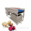 tomato washing machine/cleaning machine from COLEAD